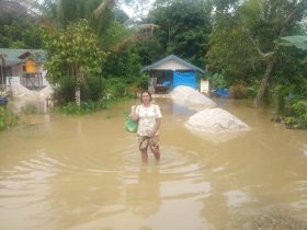 17 desa di kabupaten kapuas terendam banjir