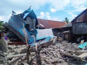 Gempa di NTT, 346 Rumah Rusak dan 770 Warga Mengungsi