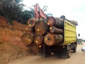 ilustrasi truk angkutan kayu log