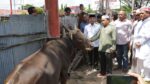 Pemko Palangka Raya Serahkan Hewan Kurban 58 Ekor Sapi Dan 3 Ekor Kambing