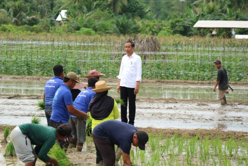 Presiden Jokowi Tinjau Pompanisasi Di Desa Bapeang, Pastikan Pengairan Lahan