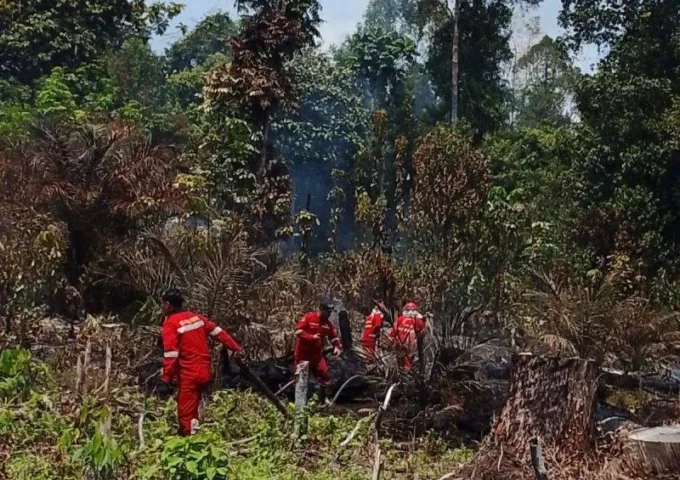 Bpbd Barito Utara Padamkan Karhutla Di Empat Lokasi, Total 5,06 Hektare Terdampak